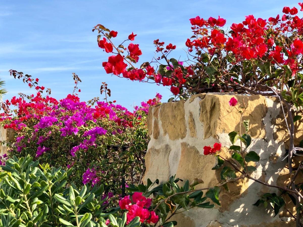 Casa Olina Διαμέρισμα Bahia de Casares Εξωτερικό φωτογραφία