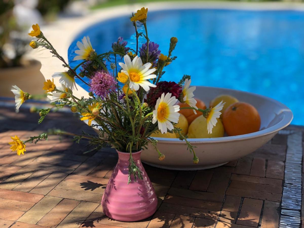 Casa Olina Διαμέρισμα Bahia de Casares Εξωτερικό φωτογραφία